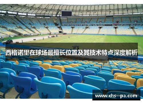 西格诺里在球场最擅长位置及其技术特点深度解析 西格诺里在球场最擅长位置及其技术特点深度解析