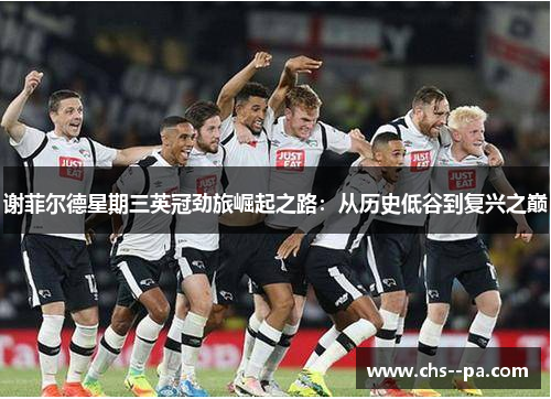 谢菲尔德星期三英冠劲旅崛起之路：从历史低谷到复兴之巅