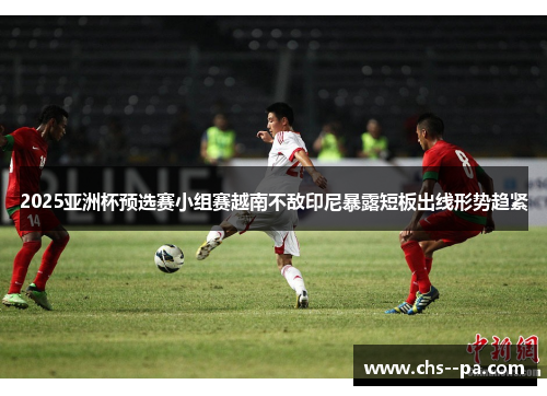 2025亚洲杯预选赛小组赛越南不敌印尼暴露短板出线形势趋紧
